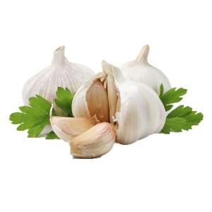 Garlic